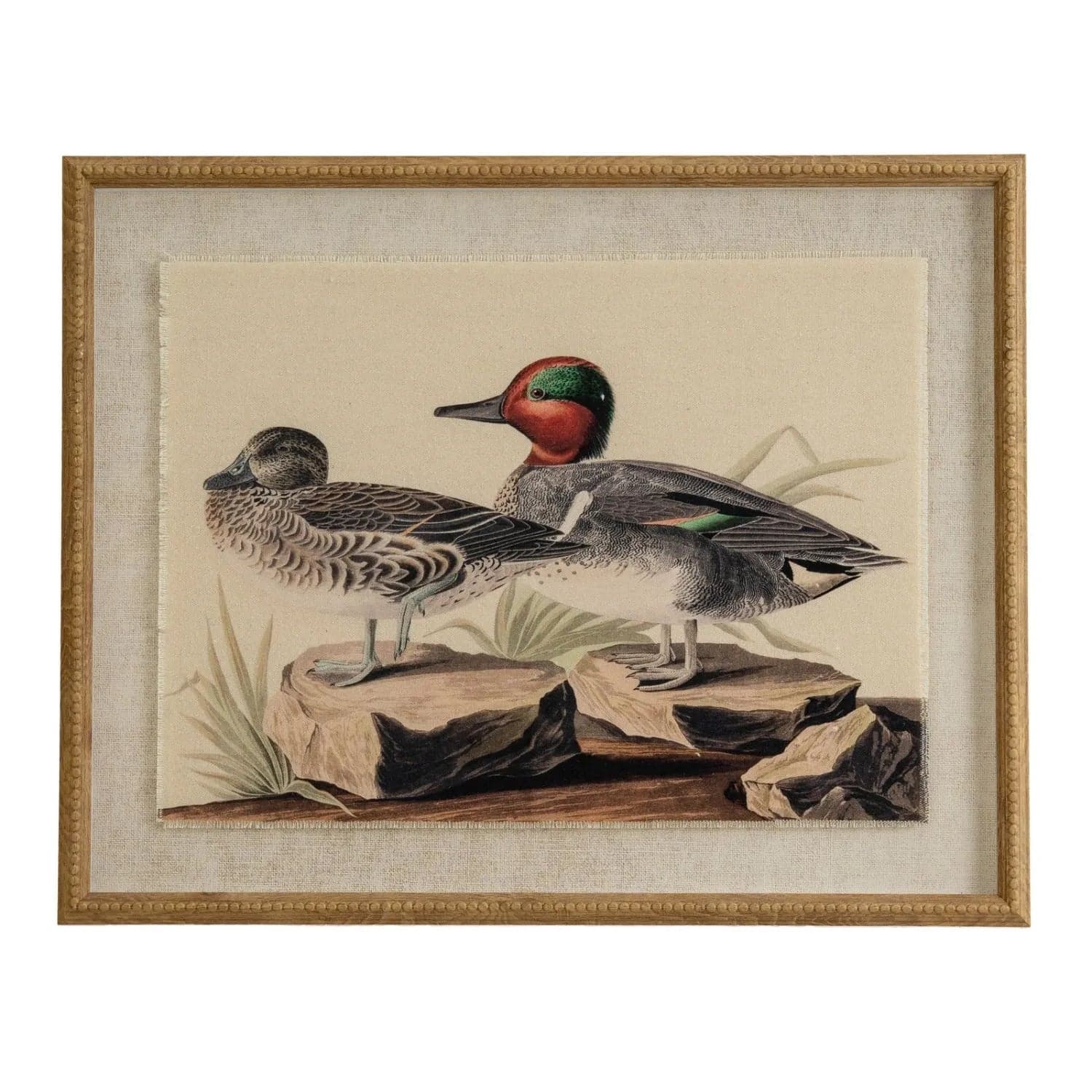 Neutral Ornithological Eurasian Teal Bird Print with Linen Background – Beaded Wooden Frame Framed Wall Art 40x50x2cm